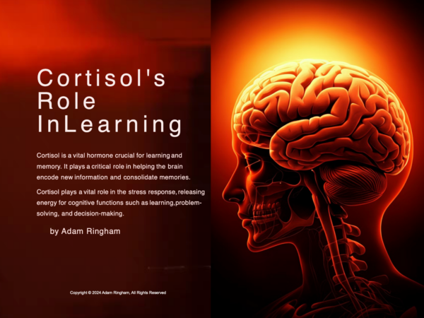 Cortisol's Role in Learning