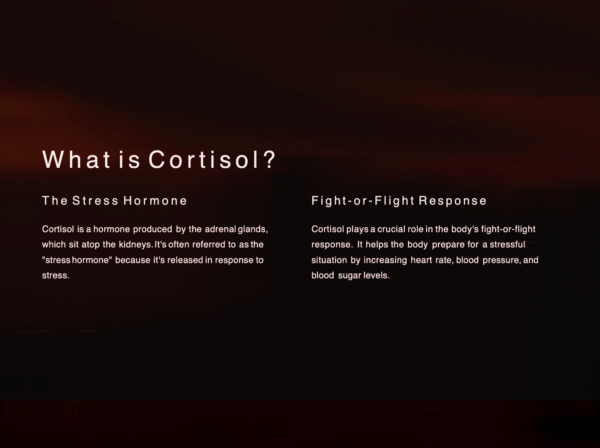 Cortisol's Role in Learning - Image 2