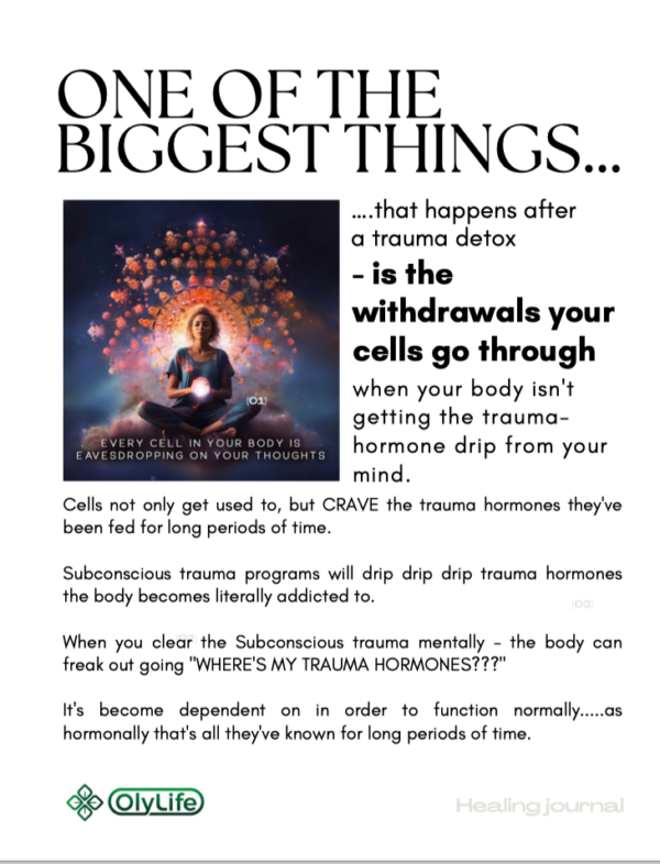 OlyOne Healing Journal - Image 2