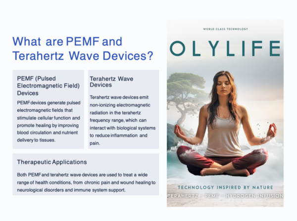 PEMF and Terahertz Wave Devices for Wellness Retreats - Image 2