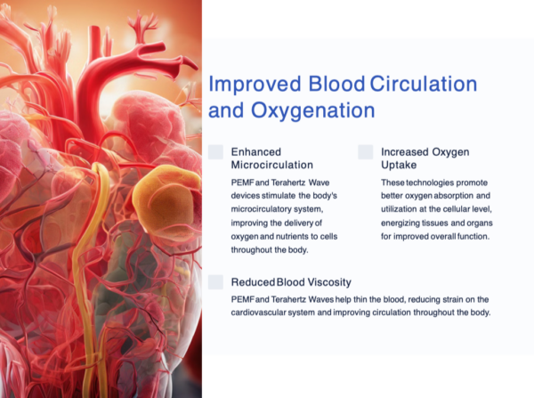 PEMF and Terahertz Wave Devices for Wellness Retreats - Image 4