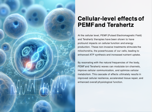 PEMF and THZ for Anti-Aging Supplement Absorption - Image 3