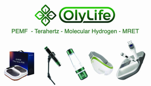 Business Card (Template 4)